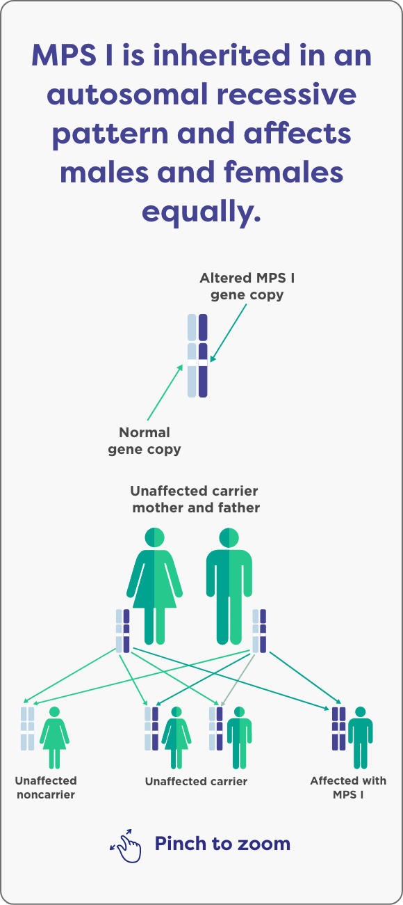 Hierarchy of inheritance pattern of MPS I 